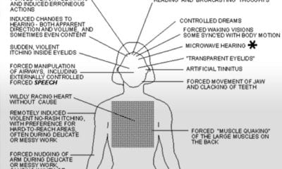 leademf3 1 Pliki rządowe o "Remote Mind Control"